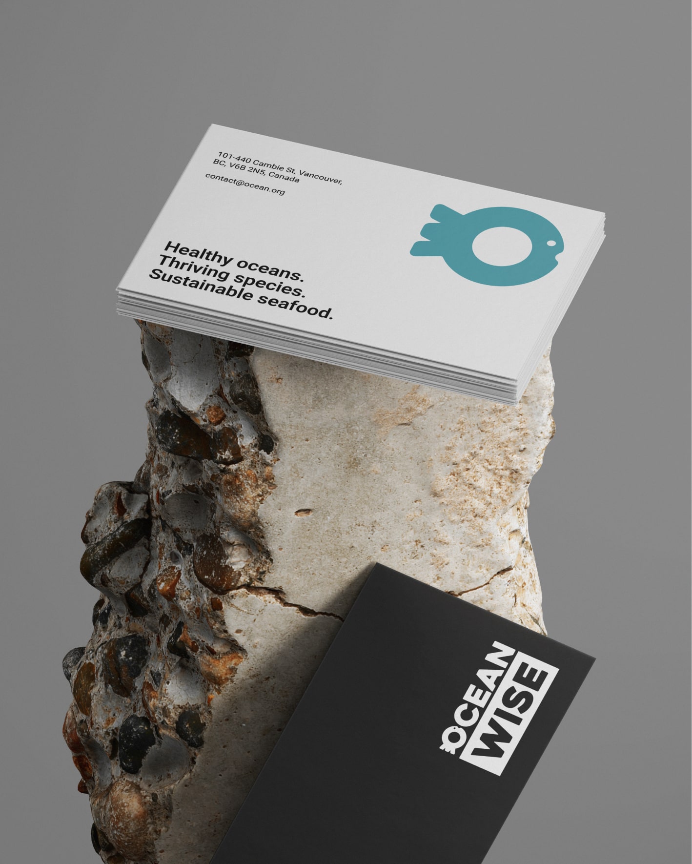 Ocean Wise Case Study