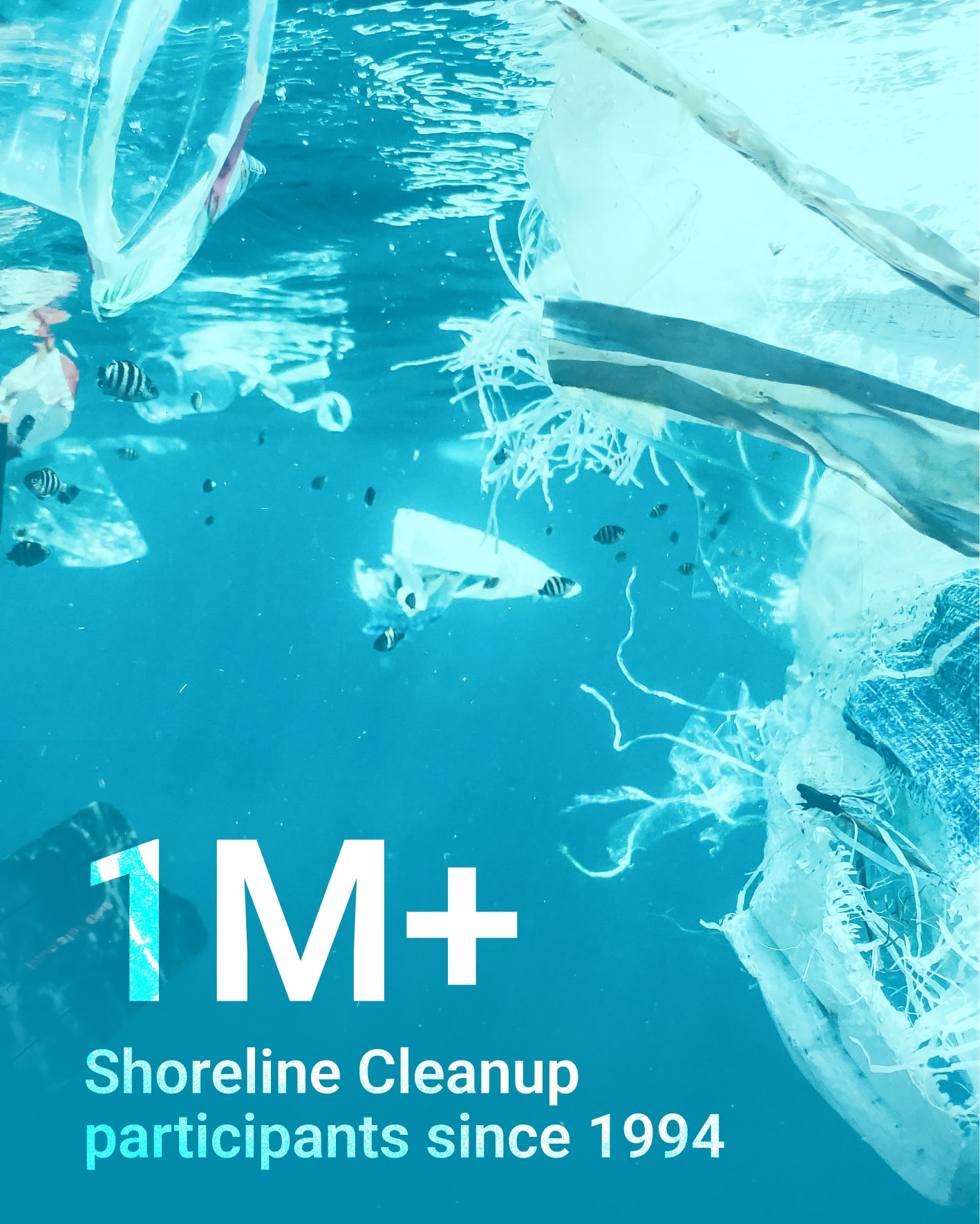 Ocean Wise Case Study