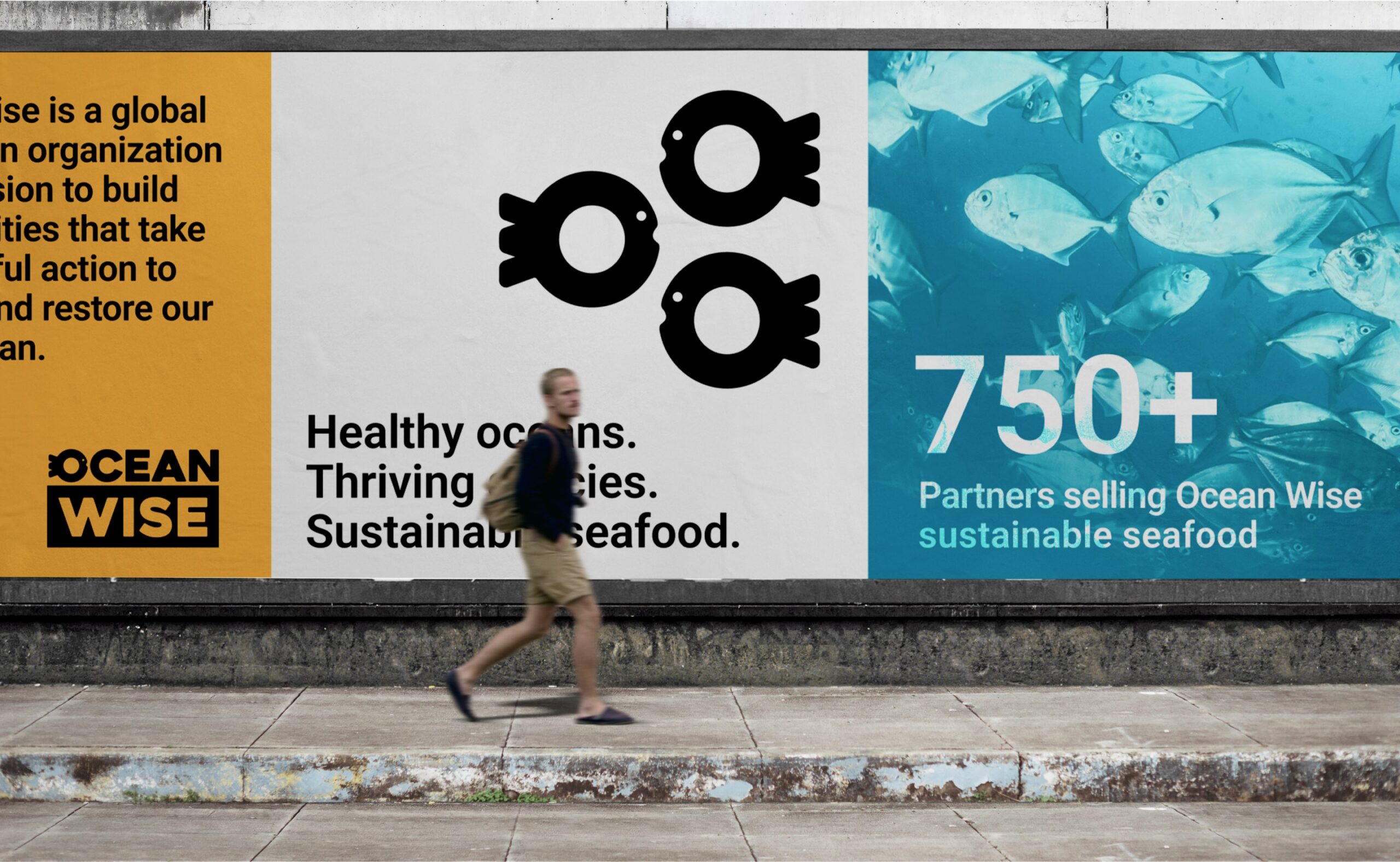 Ocean Wise Case Study