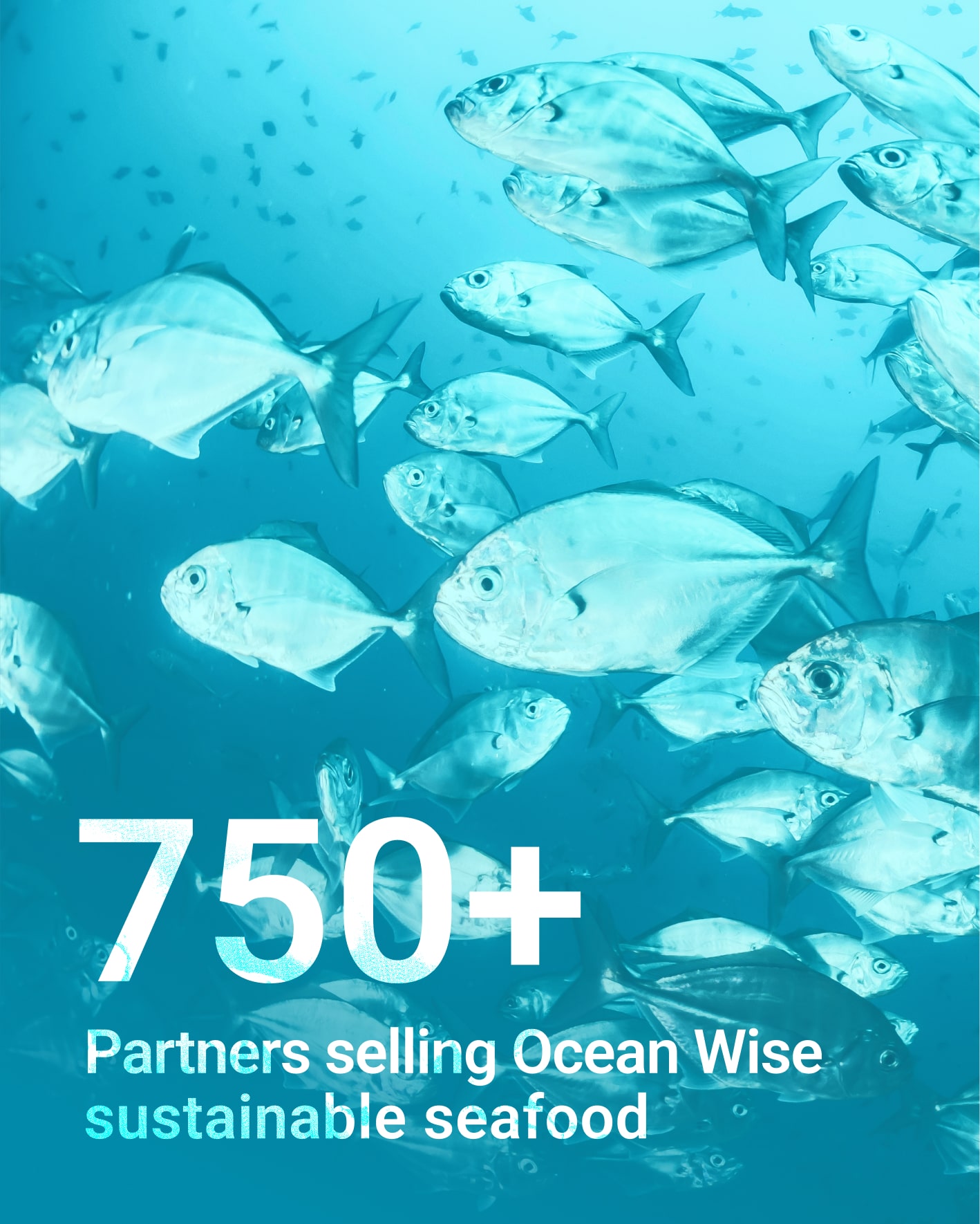 Ocean Wise Case Study