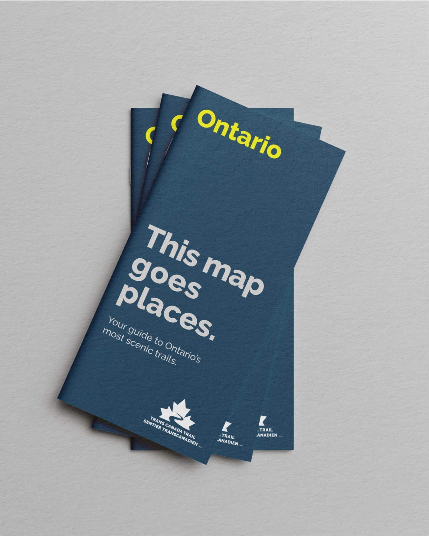 Trans Canada Trail Case Study
