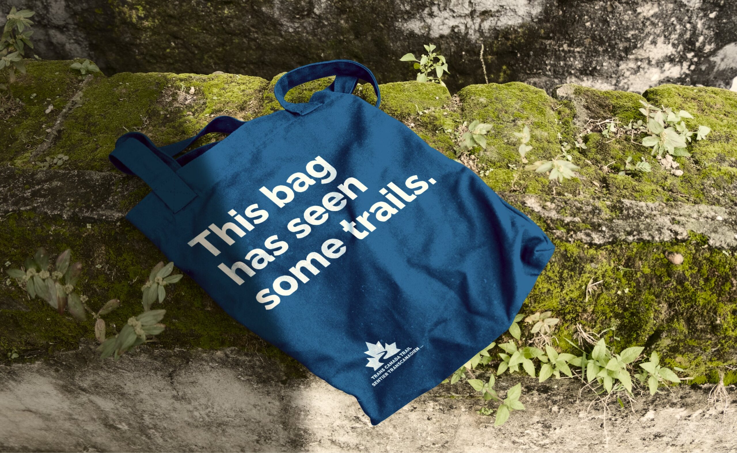 Trans Canada Trail Case Study