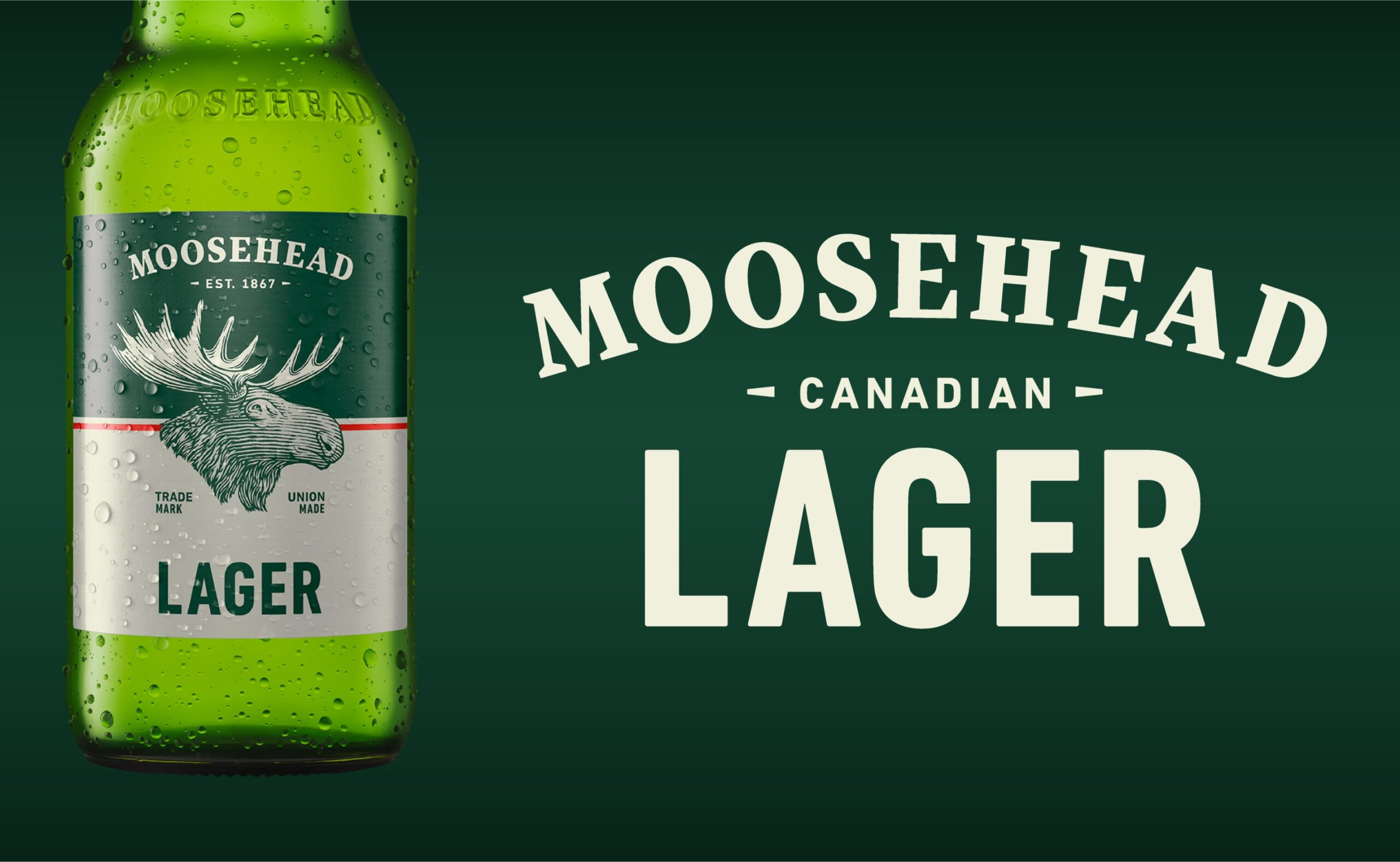 Moosehead Case Study